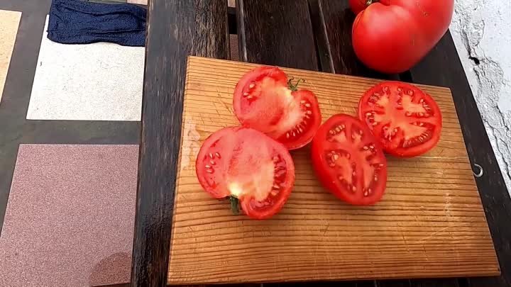 Мой план по выращиванию помидоров в этом сезоне