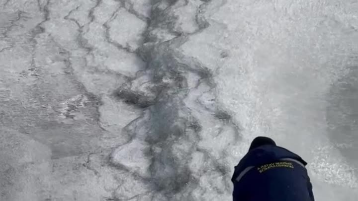 Алматинец спас щенка провалившегося под лёд