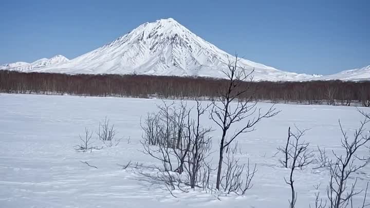 Видео