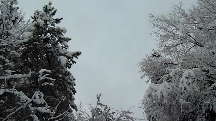 Село Дединово, ул.Набережная, после снегопада. 24.12.23г.