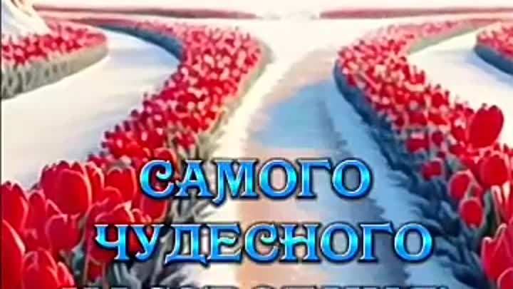 СЧАСТЬЯ И ТЕПЛОТЫ! 🌷