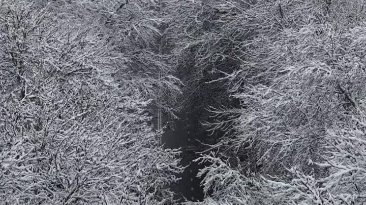 Зима пришла в Душанбе ❄️ Февраль 2024