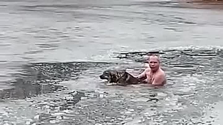 Волгоградец спас бездомную собаку