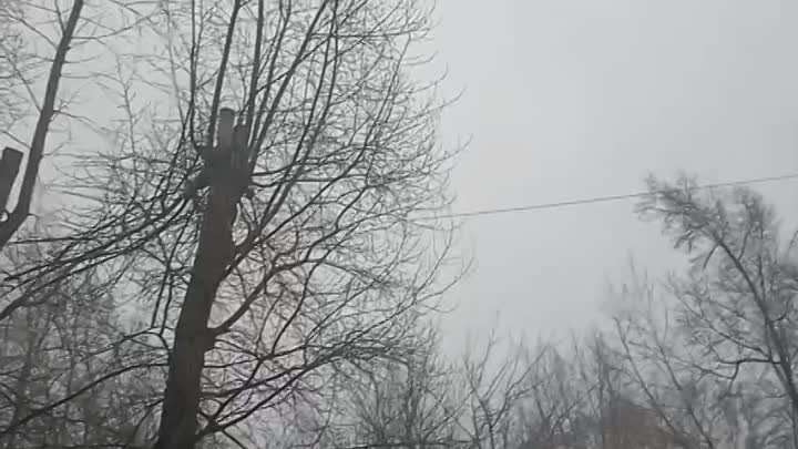 Гроза⚡☁☔ в Новосибирске утром 10 февраля, сверкнула молния и прогремел гром. 
