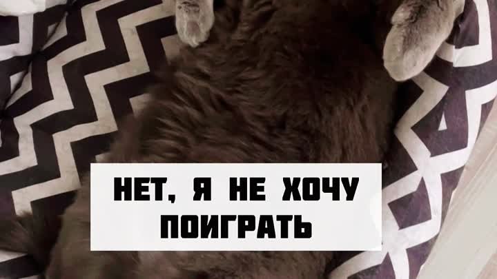 Какое печенье?