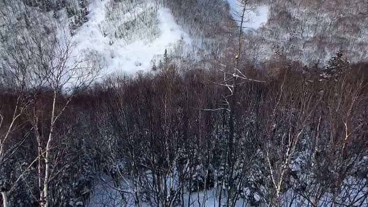 Сахалин, гора Лягушка. Видео: lesia_sakhalin