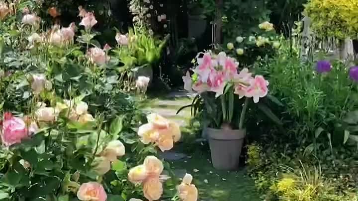 Цветущий сад 