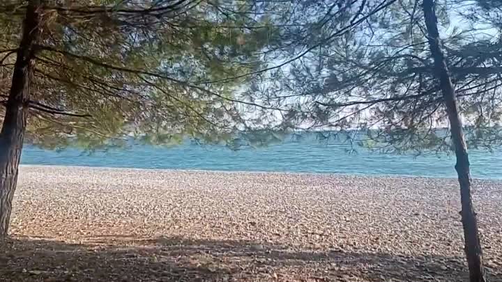 Уникальный пляж Абхазии в сосновой роще. село Лдзаа. Пицундская бухта.