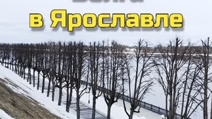 Волга в Ярославле