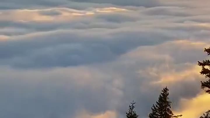 Пушистое море облаков
