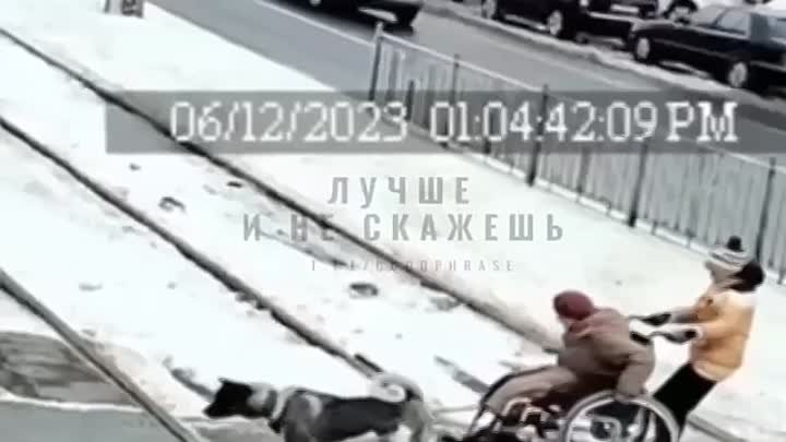 В Екатеринбурге мальчик с собакой спасли застрявшую на рельсах бабушку-инвалида.