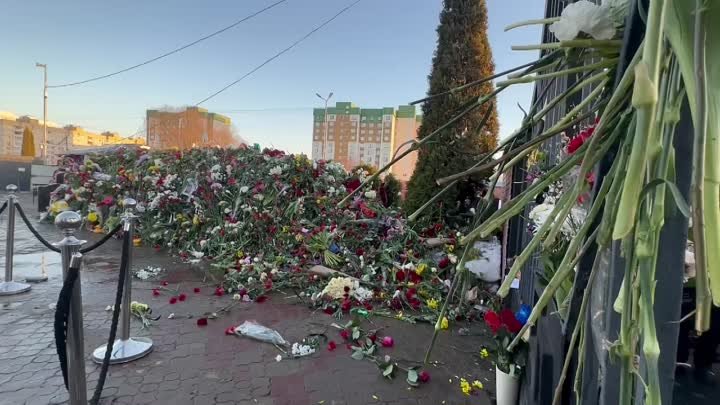 A mountain of flowers at Navalny's grave
