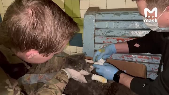 Русские десантники заботятся о коте, который попал под танковый обст ...