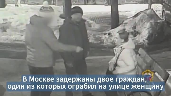Два мигранта ограбили девушку в Москве
