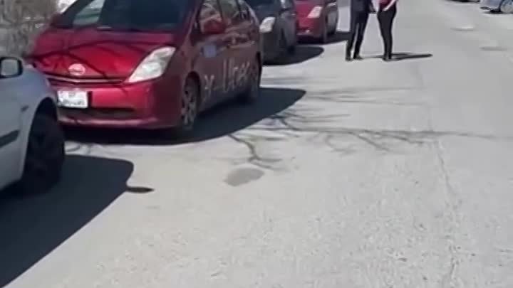 Prius sahibkarları ziyana düşdüklərini deyirlər