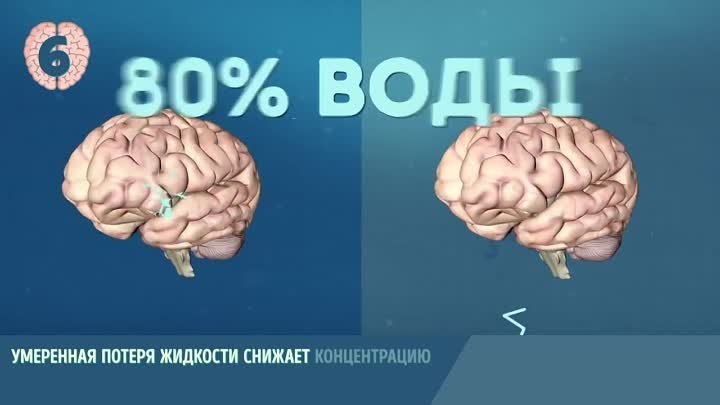 9 Доказательств Того, Что Способности Мозга Можно Развить