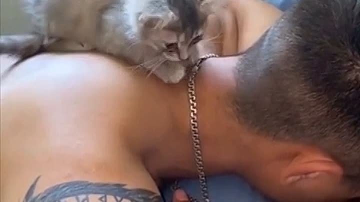 Кот-массажист 😁