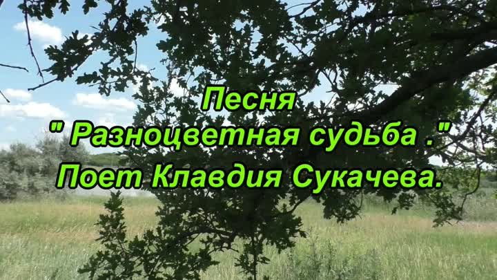 Клип Разноцветная  судьба Сукачева Клавдия.