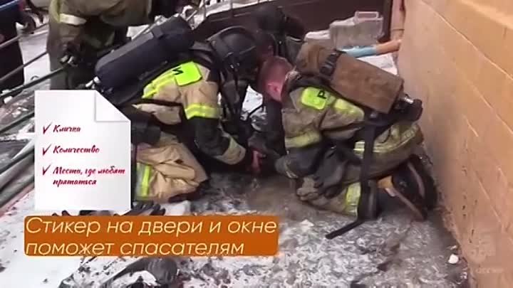 Мы в ответе за тех кого приручили