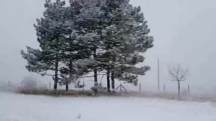 Лавандовые поля в Гоянах под снегом🌧
Дубоссарский район тоже заметает