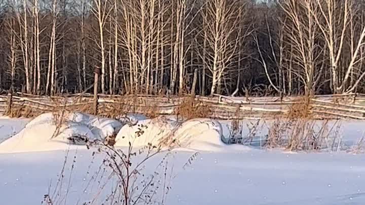 Поездка в д. Понькино зимой❄️❄️❄️