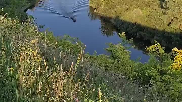 У каждого свой "Родник", своё место силы... 