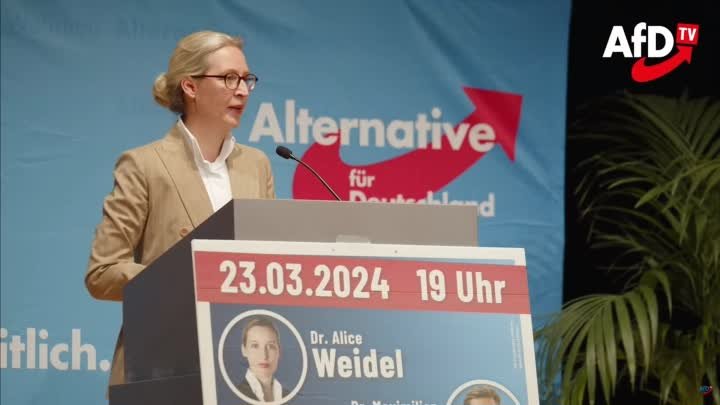 Alice Weidel AfD Heilbronn # Corona  Wer Übernimmt Verantwortung