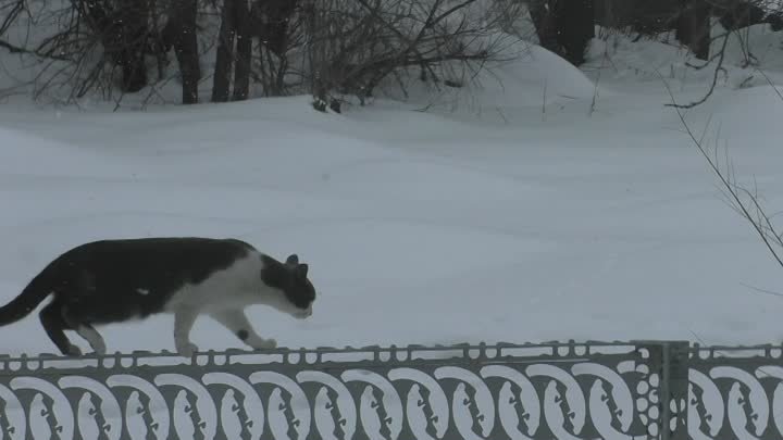 НЕ ПРИБЛИЖАЙСЯ).Видео Татьяны Крестьянсковой