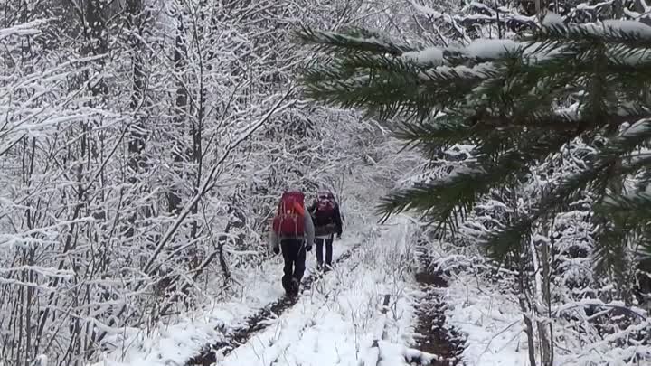 Нежилые деревни и посёлки СЕВЕРА НИЖЕГОРОДСКОЙ ОБЛАСТИ. Орлово. Каза ...