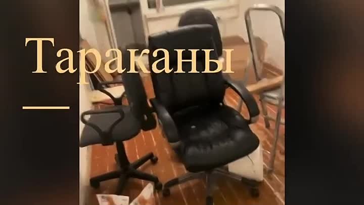 Видео