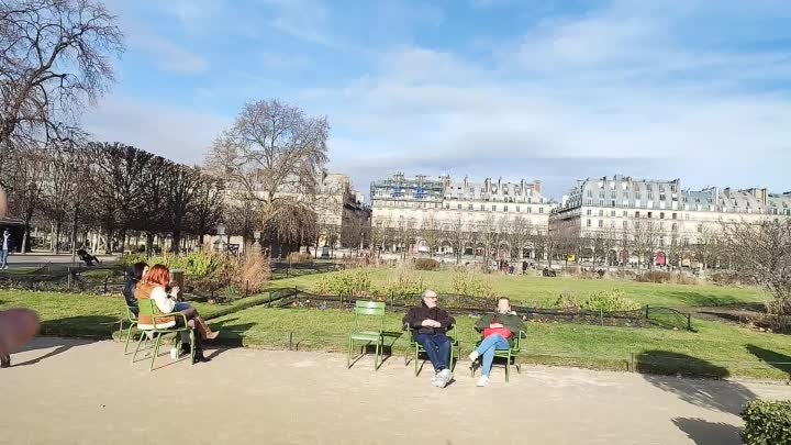 Париж и водоплавающие курочки