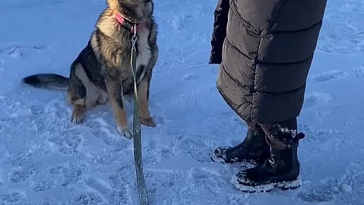 Видео от Катерины Гончаровой