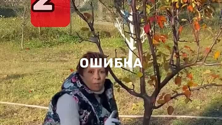 Видео