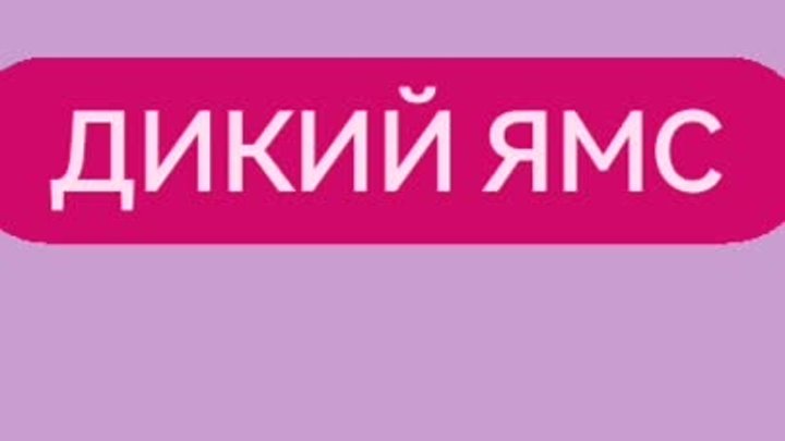 ДИКИЙ ЯМС 🌹