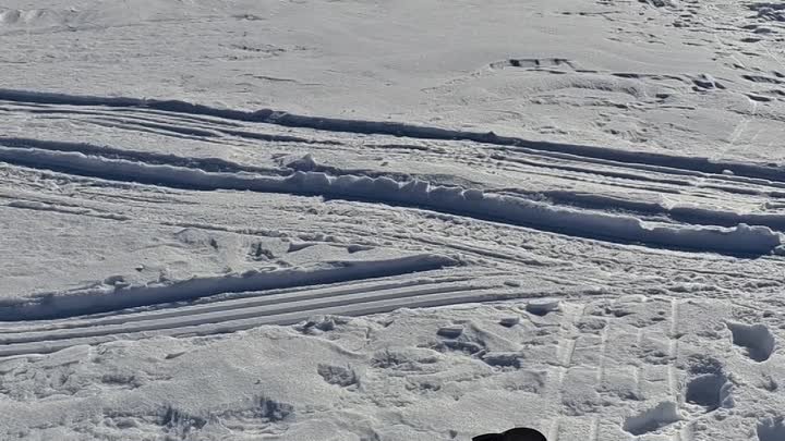 Первый БОЛТ 🔩 