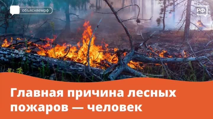 Объясняем РФ - Главная причина лесных пожаров человек