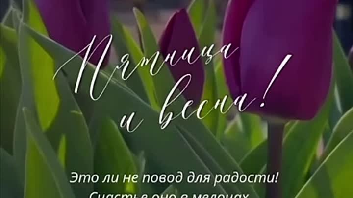 WhatsApp Video 2024-03-01 at 14.36.02