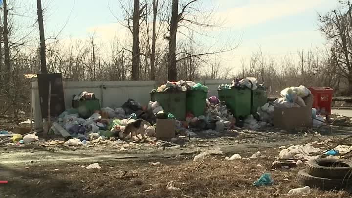 Почему в городе так много мусора