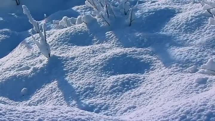 Г. В. Свиридов-" Романс Метель"...!