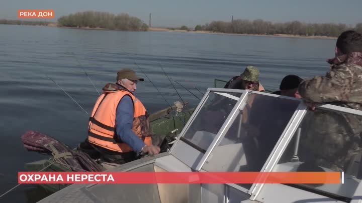 Нерест на Дону: инспекторы рыбоохраны проводят рейды по выявлению на ...