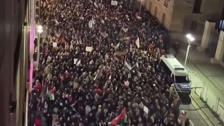 «Это не Берлин 1938-го. Это Берлин 2023-го»: Палестинская демонстрац ...