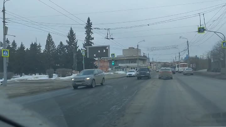 Журавли в Томске