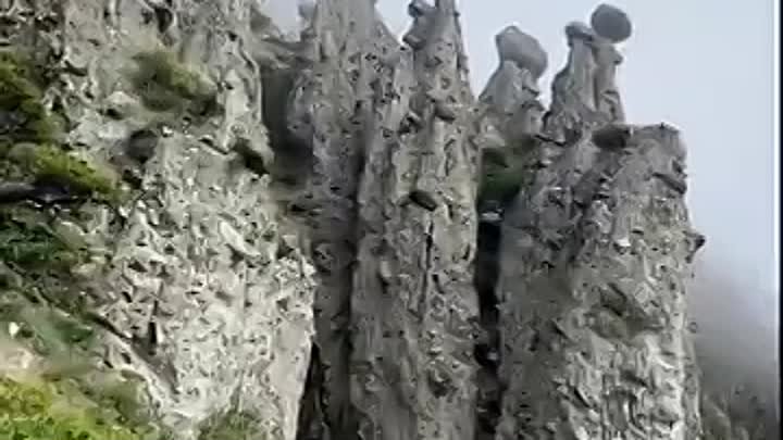 Каменные грибы.Республика Алтай,долина реки Чулышман. 