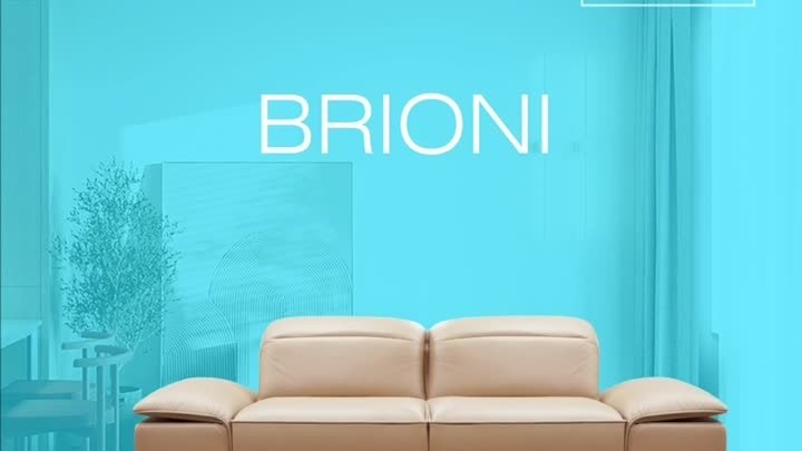 «Brioni»