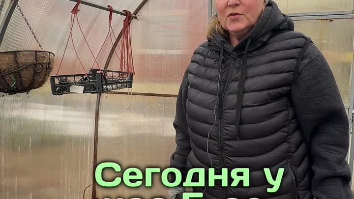 черный укрывной материал в теплице