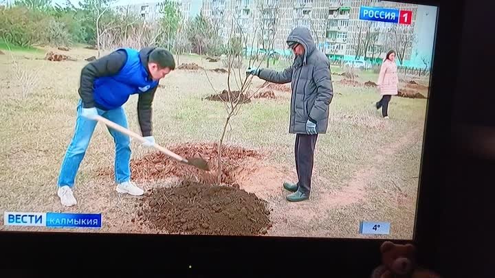 Посадка Сада памяти в Элисте.