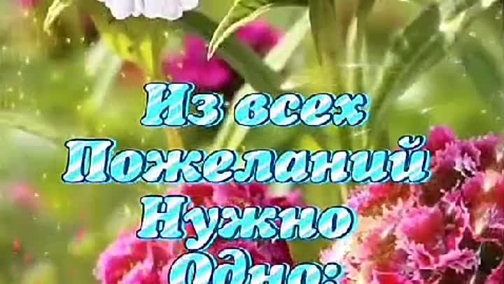 Это поздравление с Украины от невестки Зайцевой т.Фроси.