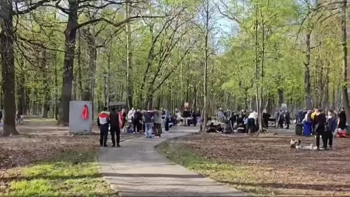 Шашлычная зона в Останкинском парке сегодня.