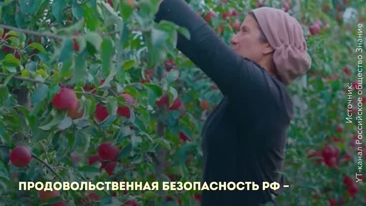 Главное об успехах АПК России