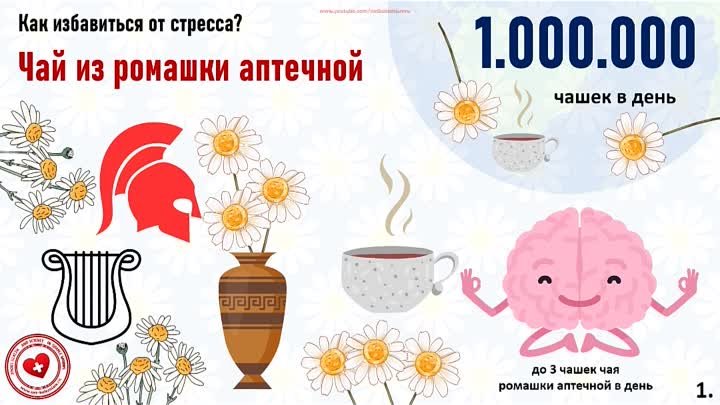 Ромашка аптечная для устранения стресса #ромашка #стресс #раслаблени ...